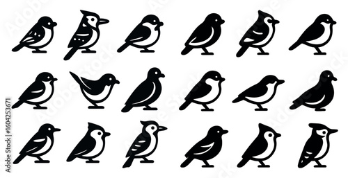 Birds silhouette icons set – nature, avian species, vector graphics collection