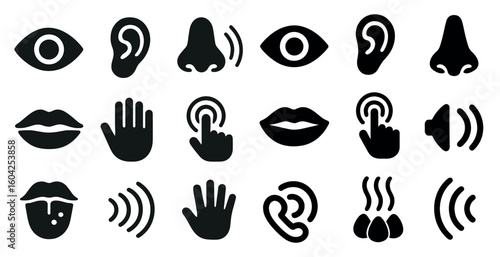 Sensory organs solid icons set – filled, flat, hearing and sight symbols