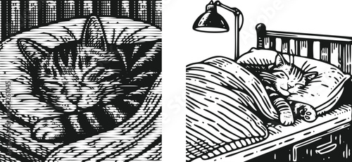  Monochrome lined engraving bundle of cat sleeps in bed illustration, cozy pet resting artwork