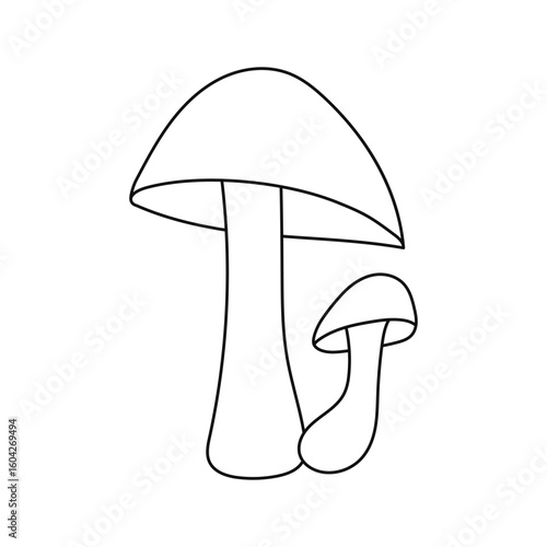 Aspen bolete outline mushroom.  forest autumn mushroom.