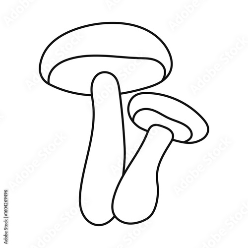 Birch bolete outline mushroom. forest autumn mushroom.