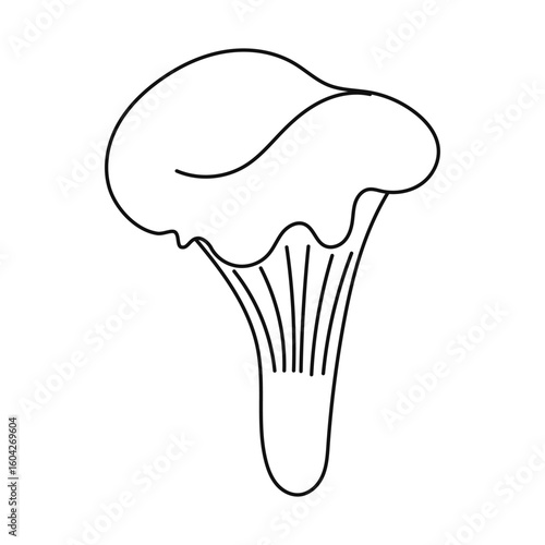 Chanterelle outline mushroom.  autumn mushroom.