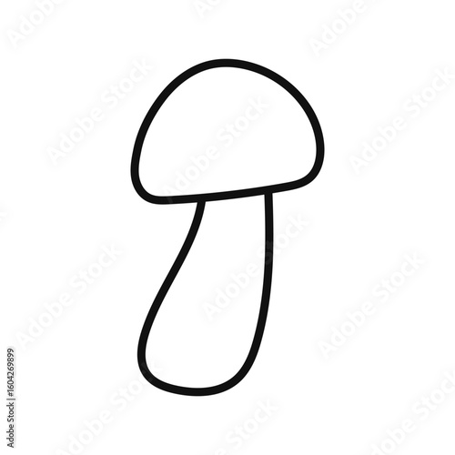 Outline mushroom. Aspen bolete mushroom.