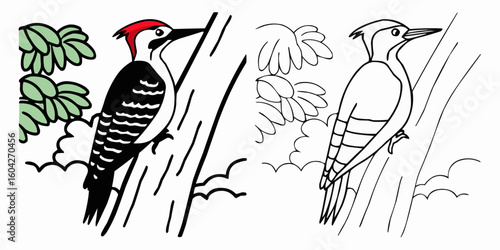 Illustration of a woodpecker clinging to a tree trunk with leaves and outline version beside it
