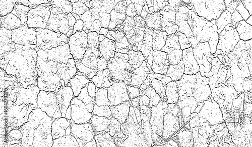 A dry, cracked, and rough old wood texture pattern on a grunge vintage wall, texture of old wood