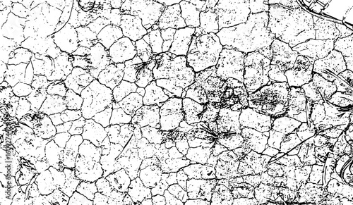 texture of old wood, Rough, dry, and cracked, the vintage texture of old wood and tree bark creates an earthy, grunge pattern on the nature's surface