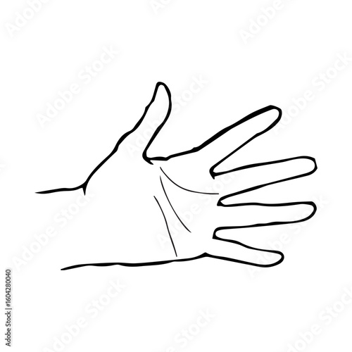 hand fate line