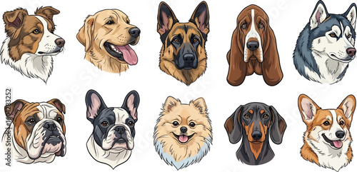 Illustration of ten different dog breeds including husky corgi and german shepherd heads on white background