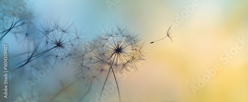 Wallpaper Mural The delicate dandelions releasing seeds into a dreamy pastel background Torontodigital.ca