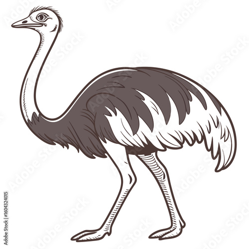 ostrich logo design vector art silhouette..