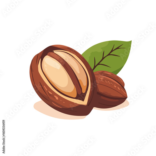 My Simple flat 2D icon of a kola nut with leaves isolated on a white background, vector design, ideal for animation, vector, web design, digital illustrations, and minimalism. EPS format, vector