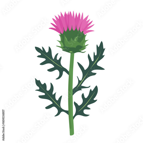 My Simple flat 2D icon of purple milk thistle isolated on a white background, vector design, ideal for animation, vector, web design, digital illustrations, and minimalism. EPS format, vector