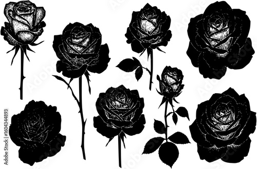 Rose set black silhouette vector illustration
