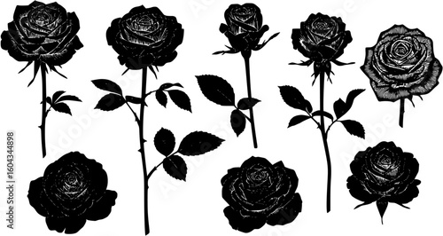 Rose set black silhouette vector illustration
