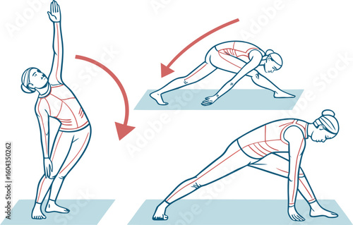Illustrations depicting a sequence of yoga poses including a standing side bend a forward fold with legs apart and a low lunge variation