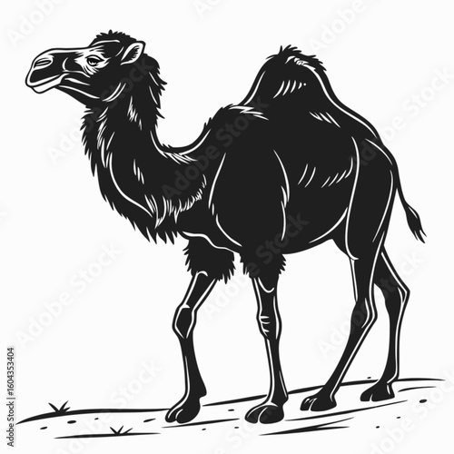 Cartoon camel vector illustration: an isolated dromedary mammal in the desert sand, perfect for wildlife and travel themes