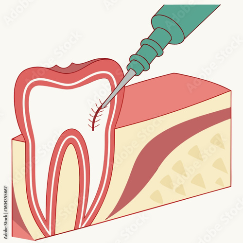 Vector illustration of a tooth with a heart and flower design, a symbol of love and dental art
