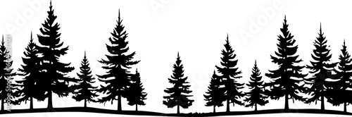 Evergreen Forest Tree Silhouette: Wilderness in Black and White"