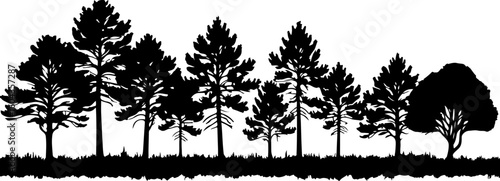 Evergreen Forest Tree Silhouette: Wilderness in Black and White