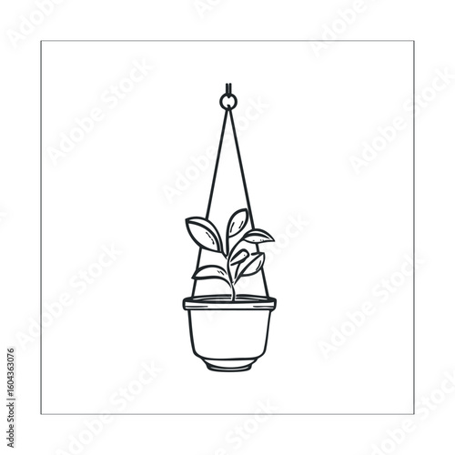 Indoor hanging plant design for home decor enhancement