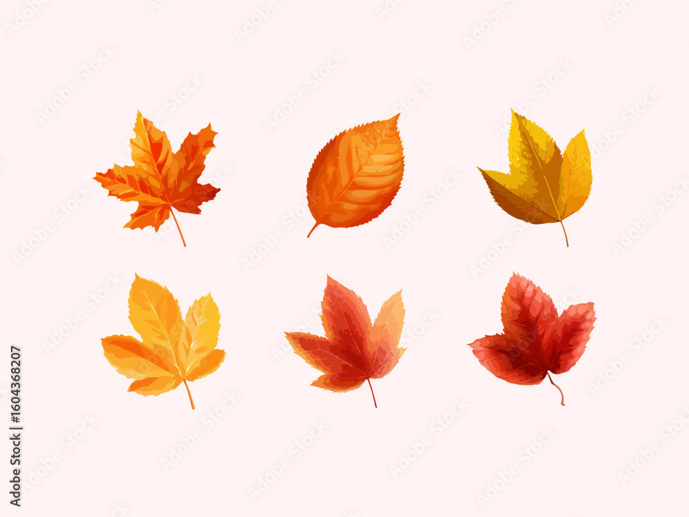 Obraz premium Autumn leaves illustration vector