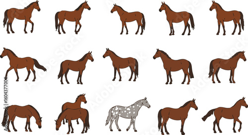 Variety of Horse Poses