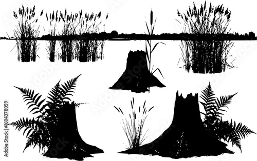 Set of reed shoots, reeds, and coastal vegetation. Ferns alongside rotting stumps. Swamp landscape with a riverbank in the view. Rendered as a silhouette. Isolated on white background. Modern