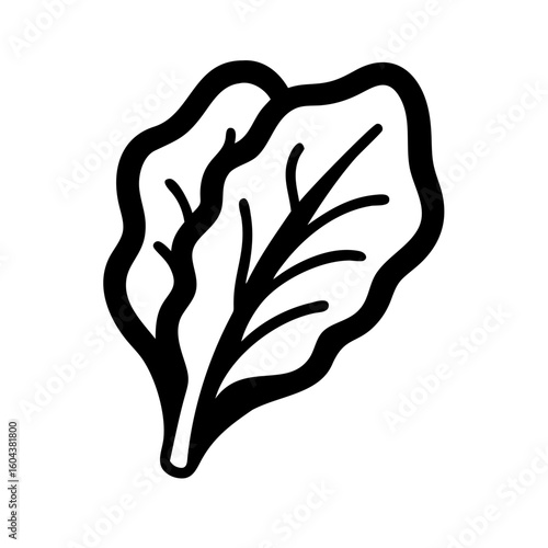 Minimalist leafy green vegetable on white, for a clean graphic design. This leafy green vegetable is a simple graphic, ideal for illustrating healthy recipes and dietary guidelines.