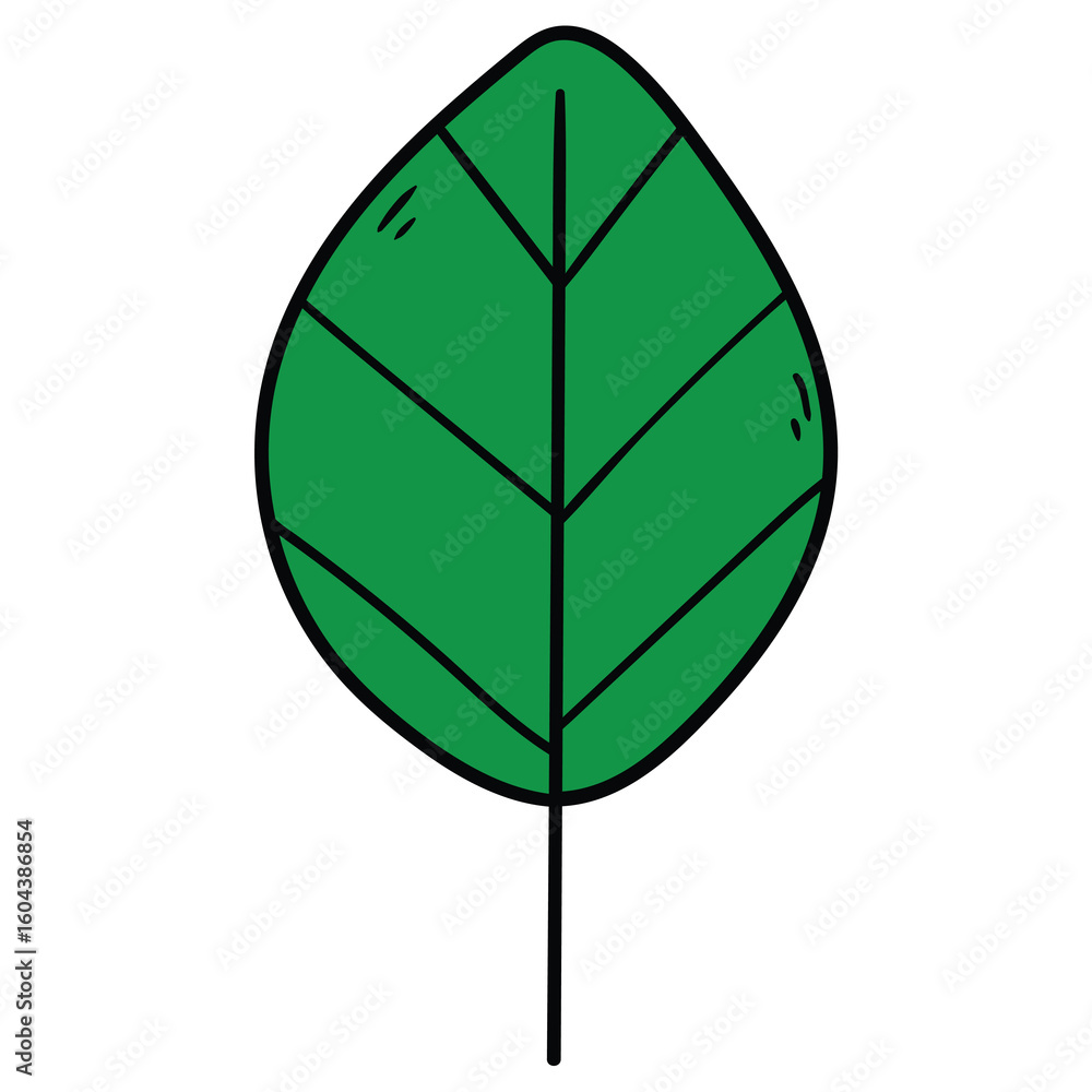Obraz premium Hand-drawn cartoon green leaf on a white background.