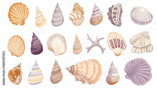 Detailed seashell vector graphic design on white background, marine and ocean theme illustration, natural shell shape with intricate lines and curves, beach and coastal concept