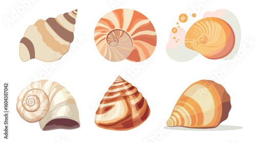 Detailed seashell vector graphic design on white background, marine and ocean theme illustration, natural shell shape with intricate lines and curves, beach and coastal concept