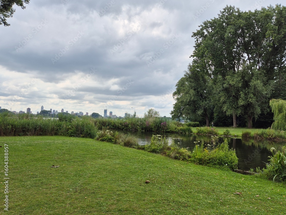 Naklejka premium garden and trees