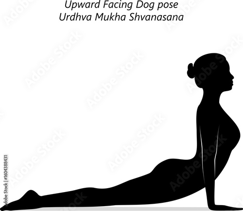 Silhouette of woman practicing Urdhva Mukha Shvanasana yoga pose. Upward Facing Dog yoga pose. Isolated vector illustration