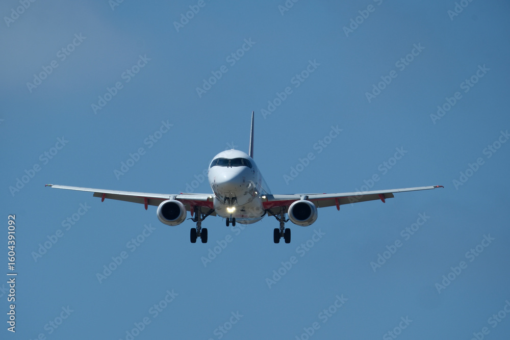 Fototapeta premium The plane approaching the airport. The plane is preparing to land. Airplane in the blue sky.