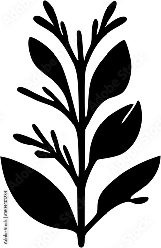 flower, floral, vector, nature, illustration, design, plant, spring, leaf, blossom, summer, decoration, flora, pattern, art, beauty, color, petal, element, card, flowers, ornament, bloom, tattoo, dais