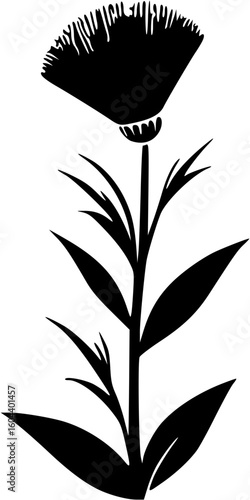 flower, floral, vector, nature, illustration, design, plant, spring, leaf, blossom, summer, decoration, flora, pattern, art, beauty, color, petal, element, card, flowers, ornament, bloom, tattoo, dais