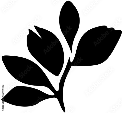 flower, floral, vector, nature, illustration, design, plant, spring, leaf, blossom, summer, decoration, flora, pattern, art, beauty, color, petal, element, card, flowers, ornament, bloom, tattoo, dais