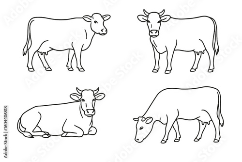 Cow outline vector illustration set. Farm animal line art collection. Simple cattle in various poses for educational content, coloring books. Minimalist dairy farming doodle.