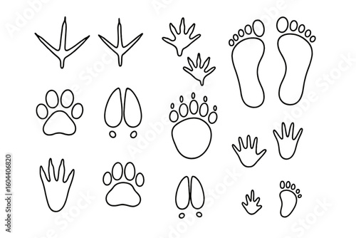 Animal tracks and human footprints set. Vector outline icon collection of paw prints, bird steps, mammal and reptile trails. Isolated wildlife design elements for identification.