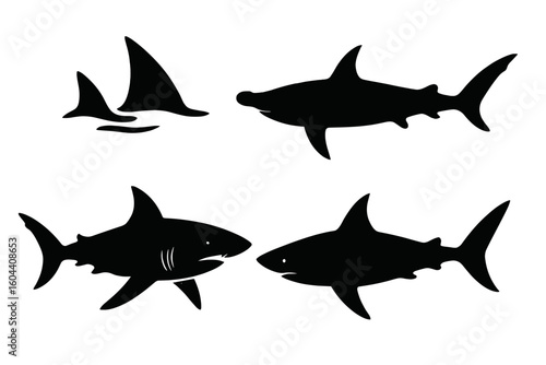 Shark silhouette vector set. Great white shark and hammerhead shapes. Marine life predator icon collection. Aquatic sea creature ocean wildlife. Danger fish animal fin symbol.