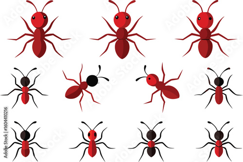 set of red ants vector illustration