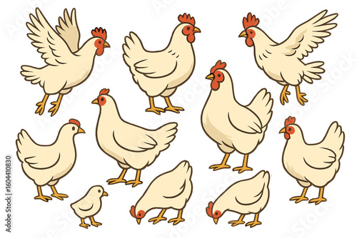 Dynamic Chicken Vector Collection