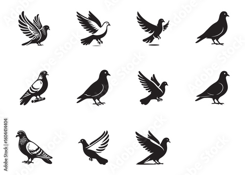 pigeon logo silhouette vector, beautiful dove bird logo icon vector, pigeon bird logo silhouette, silhouette of a pigeon logo icon vector of a pigeon design on white background