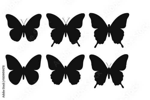 Vector collection of butterfly silhouettes. Set of isolated black insect shapes. Beautiful elegant butterflies icons for logo, tattoo, decoration, summer and spring design.