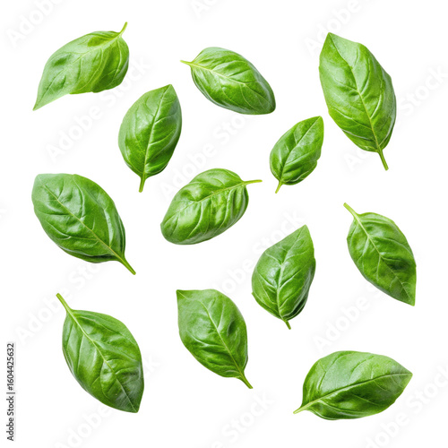 Blurry photo of basil leaves isolated on a white background, top view transparent, alpha background png
