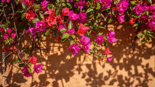 Thorn-covered ornamental plants including vines, bushes, and trees with leaves adjacent to blossoms