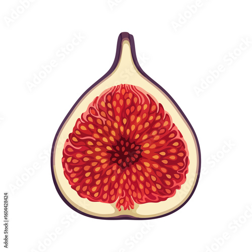 Halved Fig Shows Juicy Flesh Detail on White Background