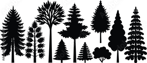 Diverse collection of tree silhouettes including pine deciduous and bushy varieties