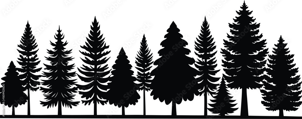 Fototapeta premium Dense forest line composed of various pine tree silhouettes