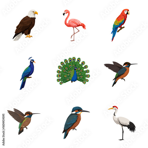 A vibrant collection of nine illustrated bird species, including a bald eagle, peacock, flamingo, macaw, and crane in various poses.
